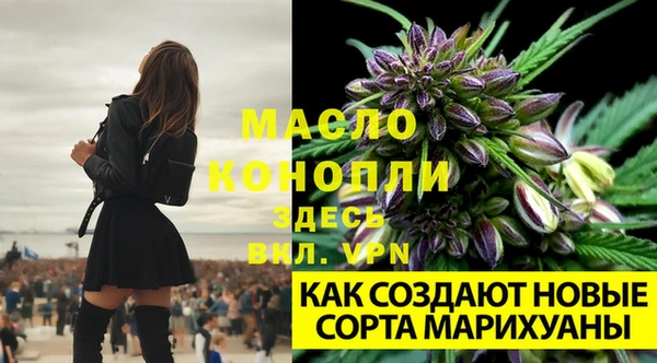 соль ск Богородицк