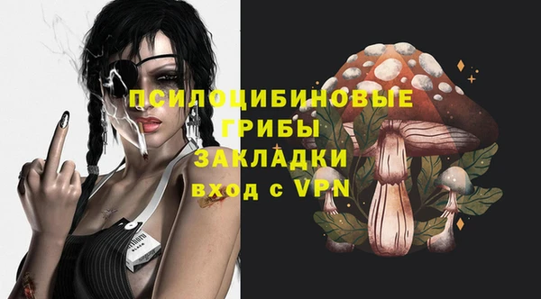 эйфоретик Богородск