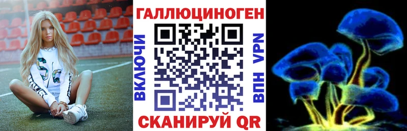 хочу наркоту  darknet наркотические препараты  Псилоцибиновые грибы Psilocybine cubensis  Короча 
