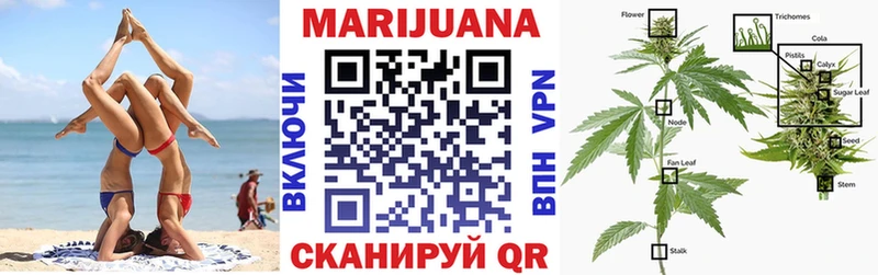 Бошки Шишки OG Kush  Короча 